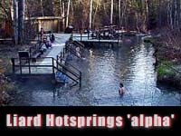 Liard Hotsprings is a well-known and excellent spot on
the Alaska highway.