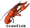 Crawfish- suck the heads.